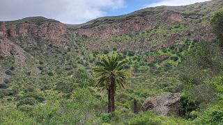 GC-Caldera de Bandama 2026-062.jpg